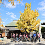 称名寺は竹千代命名の寺。東照宮があるのもそのゆかりか